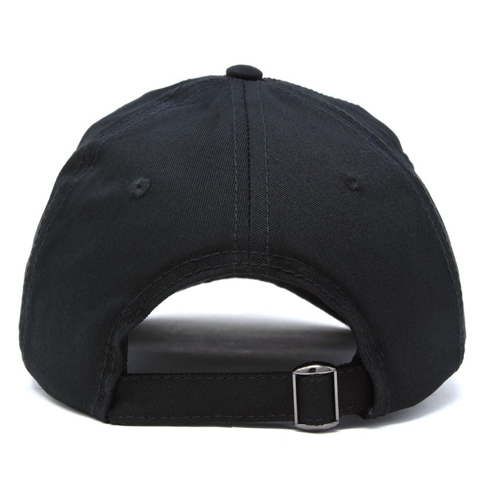 Dalix NASA Meatball Insignia Hat