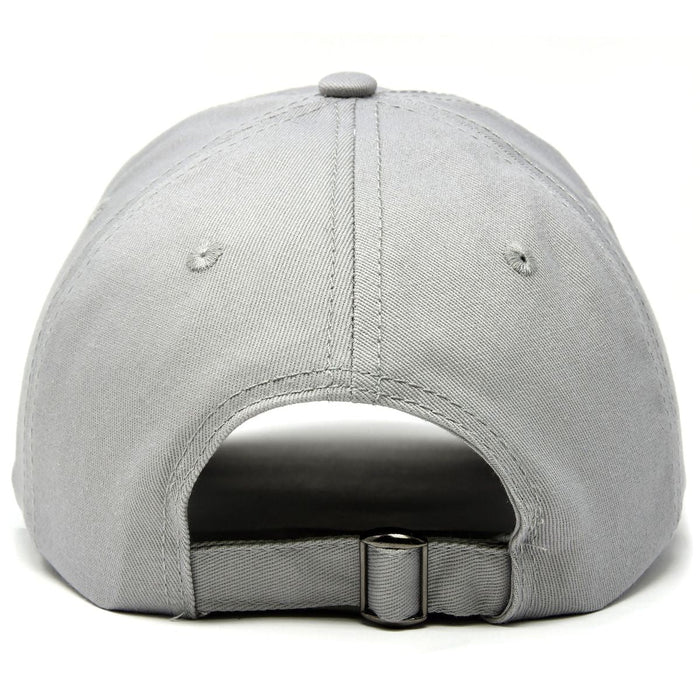 Dalix NASA Meatball Insignia Hat