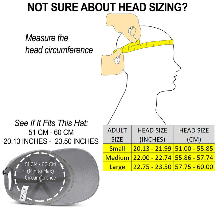 Dalix NASA Meatball Insignia Hat