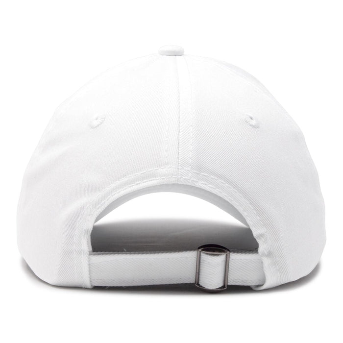Dalix NASA Meatball Insignia Hat