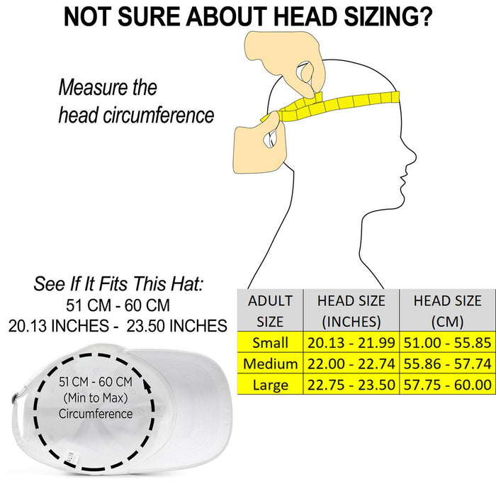 Dalix NASA Meatball Insignia Hat